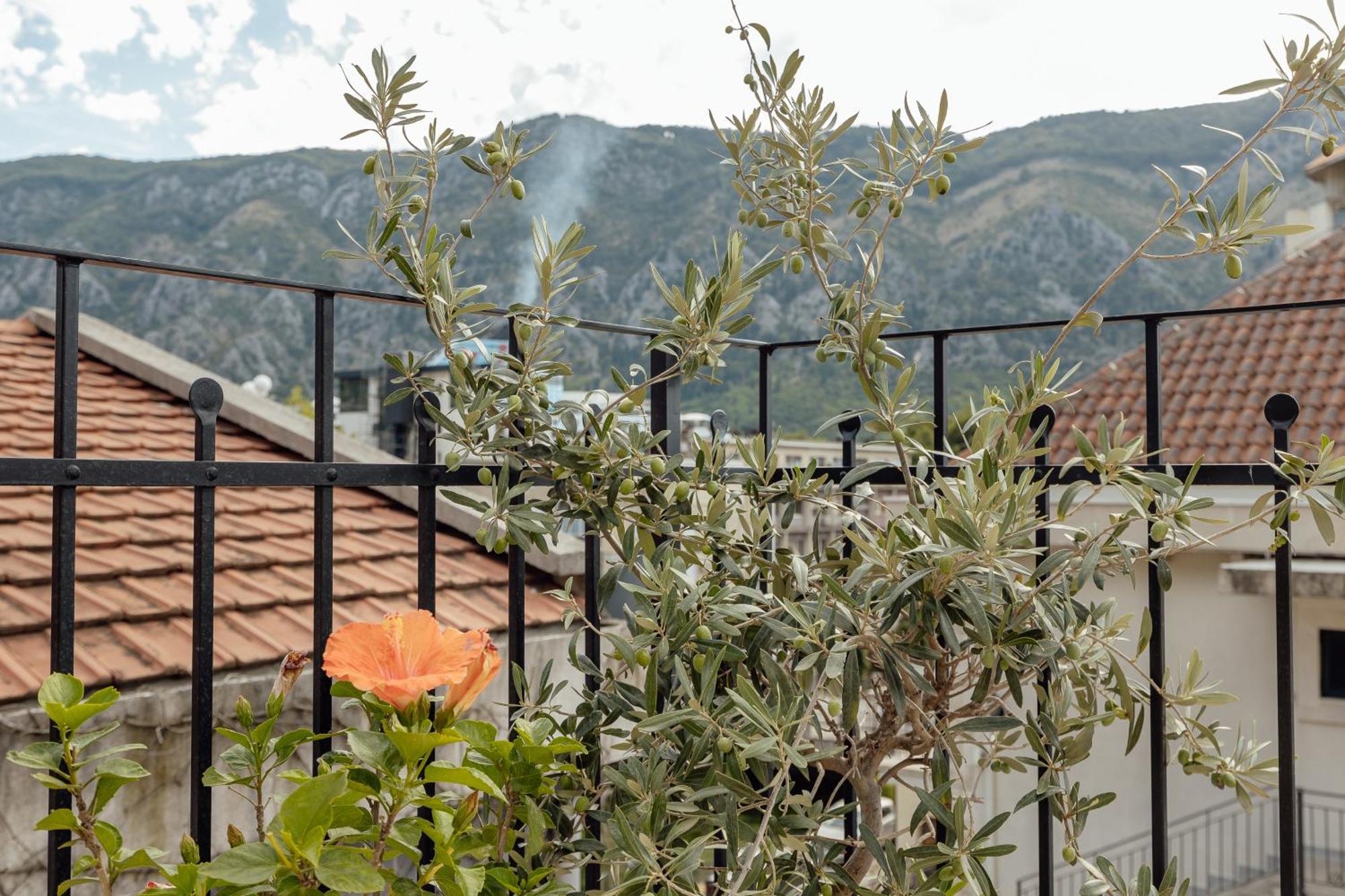 Kotor Central Point Bagian luar foto
